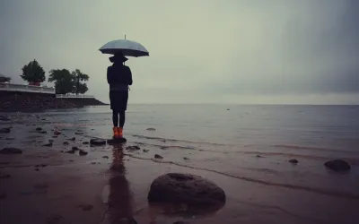 Exploring and Navigating Healthcare Options